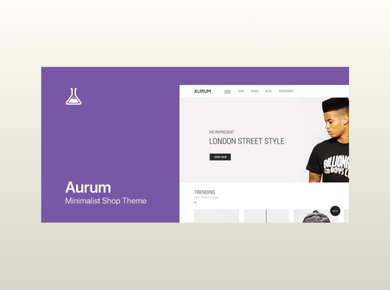 aurum wordpress & woocommerce shopping theme