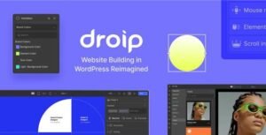 Droip – No-Code WordPress Site Builder 2.5.7