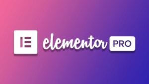 Elementor PRO Plugin for Wordpress 3.35.0