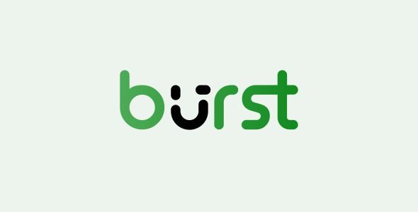 burst statistics pro privacy friendly analytics for wordpress.jpg