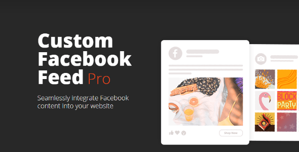 custom facebook feed pro