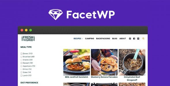 facetwp 4.1.9 advanced filtering for wordpress