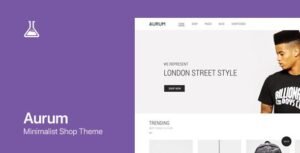 aurum 4 0 6 wordpress woocommerce shopping theme.jpg