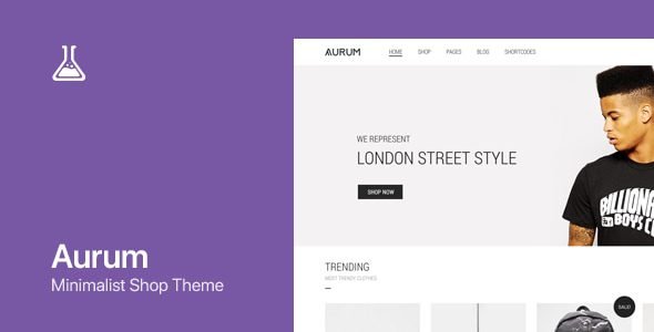 aurum 4 0 6 wordpress woocommerce shopping theme.jpg