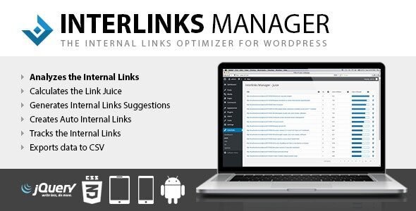 interlinks manager 1 35
