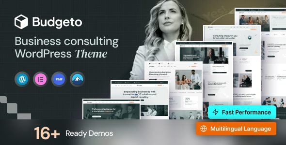 budgeto 1 2 3 4 business consulting wordpress theme.jpg